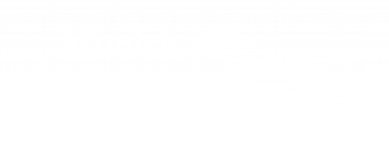Munich Quantum Valley Logo